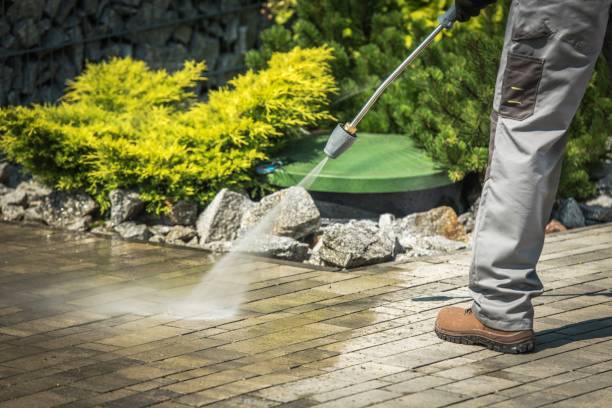 Best Animal Enclosure Cleaning  in Woods Cross, UT